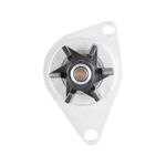 Bomba de Água do Peugeot 206, 207 e Citroen C3 - Indisa 952006