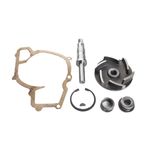 Kit de Reparo da Bomba de Água do Universal Automovéis e Utilitários Leves - Indisa 157003