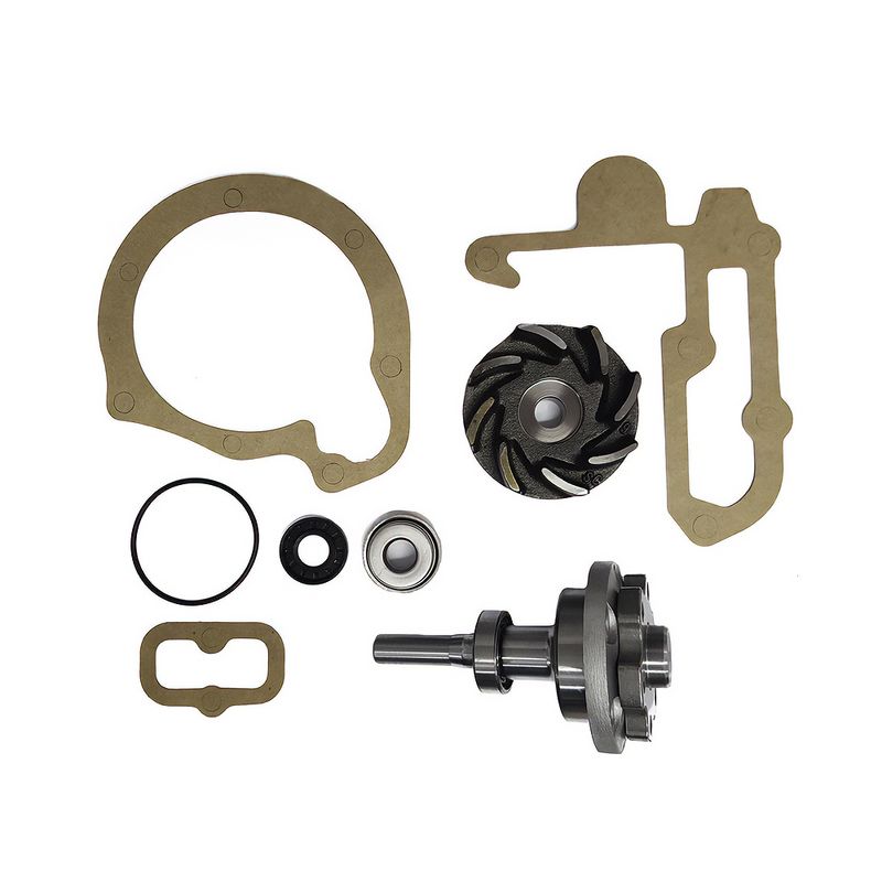 Kit de Reparo da Bomba de Água do Mercedes Benz 1318, L 1111, L 1113 e outros - Indisa 406003