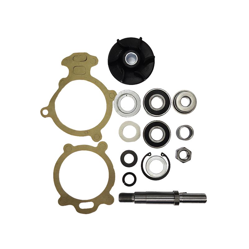Kit de Reparo da Bomba de Água do Chevrolet Bonanza, D-10, Case 580H e outros - Indisa 156002