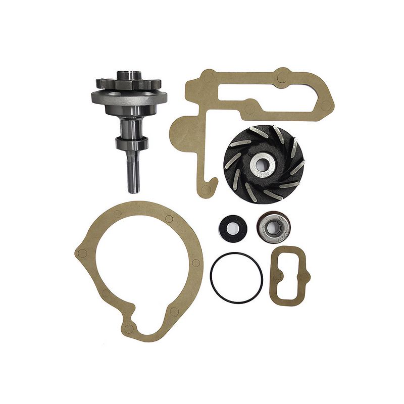 Kit de Reparo da Bomba de Água do Mercedes Benz L 1111, L 1113, L 1114 e outros - Indisa 406004