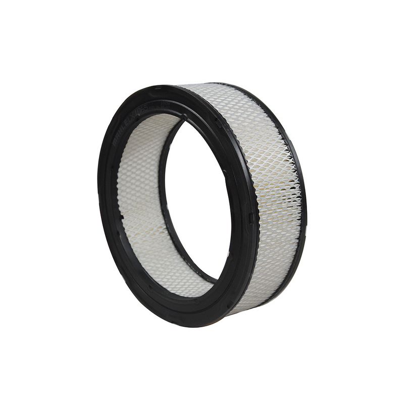 Filtro de Ar do Motor do Dodge Charger, D-100 e Dart - Metal Leve LX1065