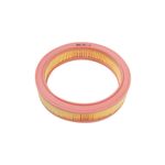 Filtro de Ar do Motor do Ford Escort, Verona e Volkswagen Logus - Metal Leve LX202