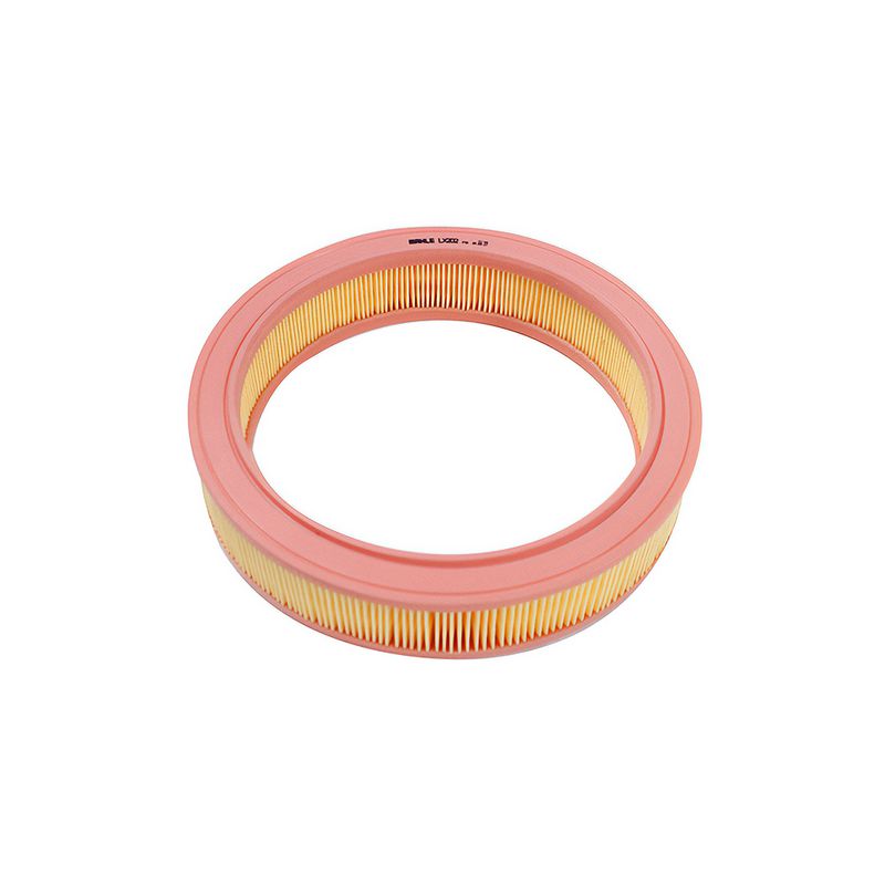 Filtro de Ar do Motor do Ford Escort, Verona e Volkswagen Logus - Metal Leve LX202