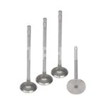 Válvula de Admissão do Renault Master - Metal Leve VA0181483