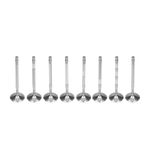 Válvula de Admissão do Chevrolet Meriva e Fiat Stilo - Metal Leve VA0140226