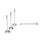 Válvula de Admissão do Mercedes Benz Sprinter Chassi, Sprinter Furgão e Sprinter Van - Metal Leve VA0481563