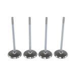 Válvula de Admissão do Fiat Doblo, Idea, Palio e outros - Metal Leve VA0250271