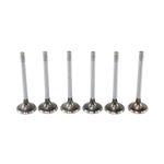 Válvula de Admissão do Renault Clio, Kangoo, Megane e outros - Metal Leve VA0180124