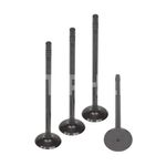 Válvula de Admissão do Nissan March, Peugeot 206, Renault Clio e outros - Metal Leve VA0181606