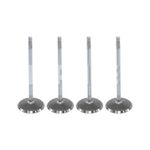 Válvula de Admissão do Ford Courier, Ecosport, Escort e outros - Metal Leve VA0590174