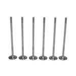 Válvula de Admissão do Volvo B 340 R, B 380 R, B 420 R e outros - Metal Leve VA0711742