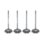 Válvula de Admissão da Honda CG 150 Fan, CG 150 Job, CG 150 Sport e outros - Metal Leve VA0510197