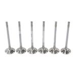 Válvula de Admissão do Volkswagen 14-210, 14-220, Ford Cargo e outros - Metal Leve VA0210153