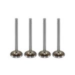 Válvula de Admissão do Volkswagen Gol - Metal Leve VA0700028