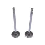 Válvula de Admissão do Ford F-250 - Metal Leve VA0210442