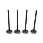 Válvula de Escape do Renault Clio, Duster, Nissan Livina e outros - Metal Leve VE0181747