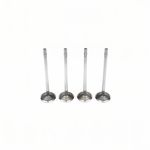 Válvula de Escape do Iveco Daily - Metal Leve VE0011468