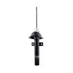 Amortecedor de Suspensão Dianteiro do Ford Courier - Cofap GP30081