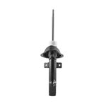 Amortecedor de Suspensão Dianteiro do Ford Fiesta - Cofap GP30074