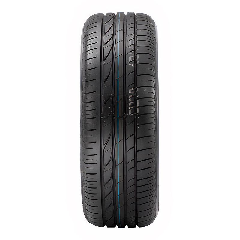 Pneu Bridgestone Aro 16 Turanza ER300 205/55R16 91V