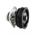 Bomba de Água do Fiat Palio, Palio Weekend, Siena e outros - Perfect BD0902