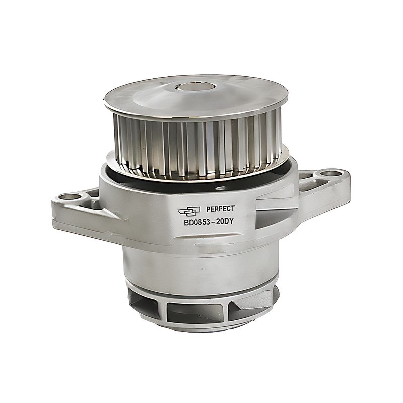 Bomba de Água - Perfect BD0853