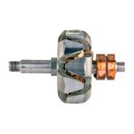 Rotor do Alternador 12V do Agrale 4200, 4300, 8500 e outros - Bosch 9 122 080 160