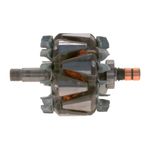 Rotor do Alternador do Fiat Brava, Doblo, Alfa Romeo 147 e outros - Bosch F 00M 121 617