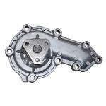 Bomba de Água do Chevrolet S10, Ford Ranger, Mercedes Benz Sprinter Chassi e outros - Delphi WP1166