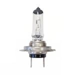 Lâmpada do Farol 12V PX26D Halógena 55W - Gauss GL144H7