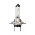 Lâmpada do Farol 12V PX26D Halógena 55W - Gauss GL129H7