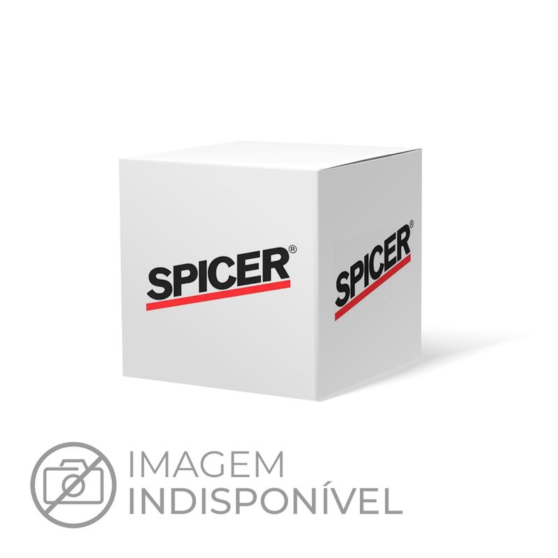 Kit de Reparo da Caixa do Diferencial do Agrale 8500, MA 8.5, MA 8.5T e outros - Spicer BA401202-X