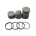 Pistão com Anel do Volkswagen Fox e Gol - Riosulense 58.4005.510