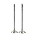 Válvula de Admissão do Citroen Jumper, Fiat Ducato e Iveco Daily - Riosulense 54.460.0701