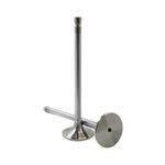 Válvula de Admissão do Case Ih AF 2399, Ford Cargo, Volkswagen 18.320 EOT e outros - Riosulense 54.434.0151