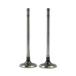 Válvula de Escape do Agrale 10000, 13000, 14000 e outros - Riosulense 54.212.0801