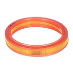 Filtro de Ar do Motor do Ford Fiesta e Ka - Tecfil AR8819