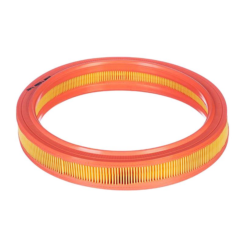 Filtro de Ar do Motor do Ford Fiesta e Ka - Tecfil AR8819