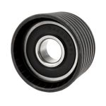 Polia da Correia Dentada do Renault Duster, Megane, Oroch e outros - Schadek 30.074