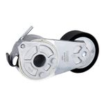 Polia Tensora do Alternador do Fiat 500, Bravo, Fiorino e outros - Schadek 30.297