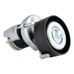 Polia Tensora do Alternador do Volkswagen Fox, Golf, Seat Ibiza e outros - Schadek 30.276