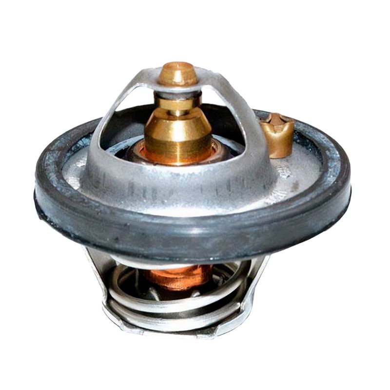 Válvula Termostática do Ford Ecosport, Fiesta e Focus - Valclei 1167.82