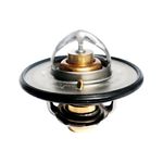 Válvula Termostática do Ford Cargo, F-250, F-350 e outros - Valclei 5533.82