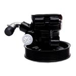 Bomba de Direção Hidráulica do Ford Ecosport e Fiesta - TRW JPR1074