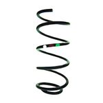 Mola Helicoidal Dianteira do Fiat Palio, Palio Weekend e Strada - Aliperti AL303