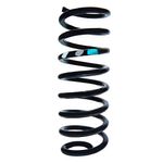 Mola Helicoidal Traseira Direita/Esquerda do Renault Logan e Sandero - Aliperti AL643