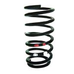 Mola Helicoidal Traseira do Honda Civic - Aliperti AL447