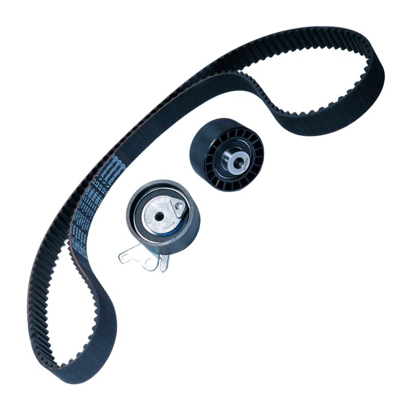 Kit da Correia Dentada do Citroen C5, Xsara, Peugeot 307 e outros - BAP KCD2528