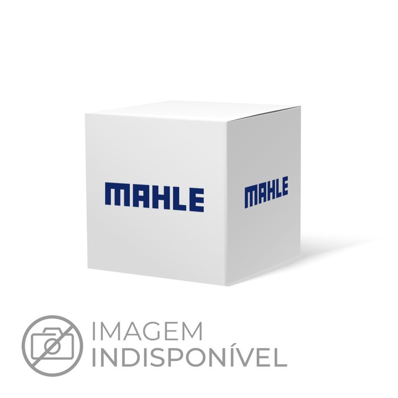 Imagem Principal